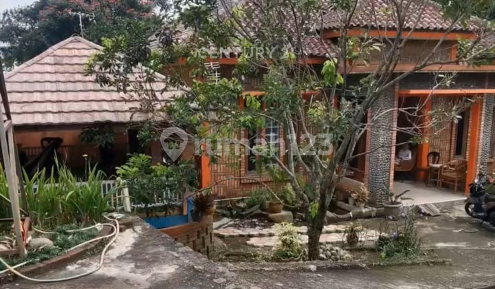 Rumah Luas Plus Kolam Ikan Siap Huni di Jl Batu Gede Ciapus Bogor 2