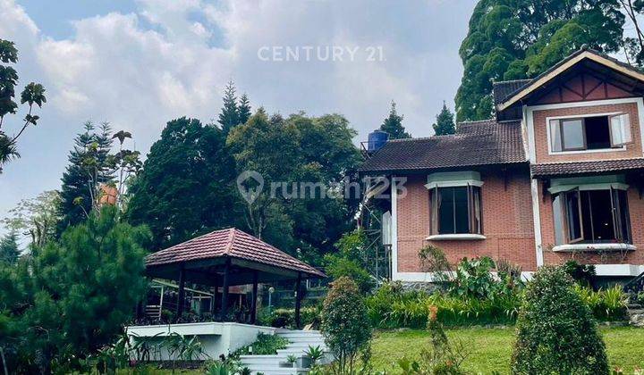 Villa Area Wisata Di Jalan Alternatif Tapos Ciawi Bogor