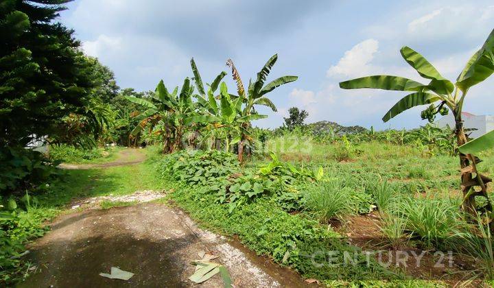 Kavling Siap Bangun Area Komplek Pakuan 2 Tajur Kota Bogor 2