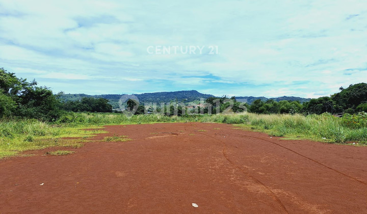 Large Plot Below NJOP on Jl Citaringgul Babakan Madang Bogor