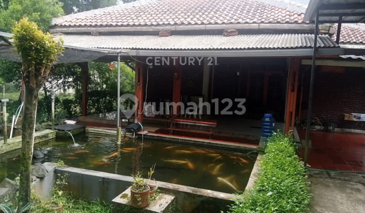Rumah Asri Luas Dekat Tol di Jl H Abdul Rozak Gunung Putri Bogor Rumah Asri Luas Dekat Tol di Jl H Abdul Rozak Gunung Putri Bogor