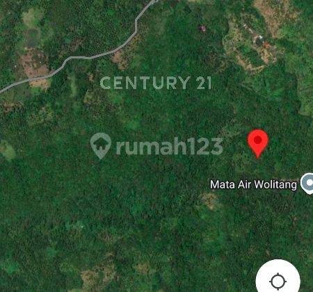 TANAH MURAH DI SULAWESI UTARA UNTUK PERKEBUNAN DEKAT MATA AIR 2