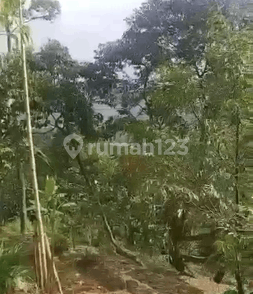 Tanah Luas Ada Pohon Buah di Jl Desa Cikadu Leuwisadeng Bogor