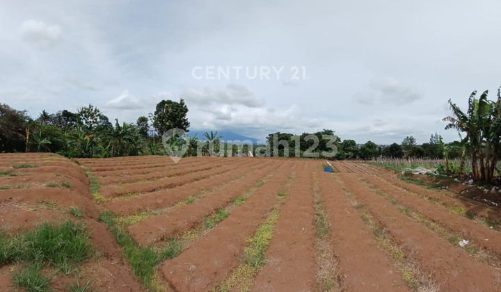 Kavling Dekat Tol Di Jl Desa Cibedug Ciawi Kabupaten Bogor