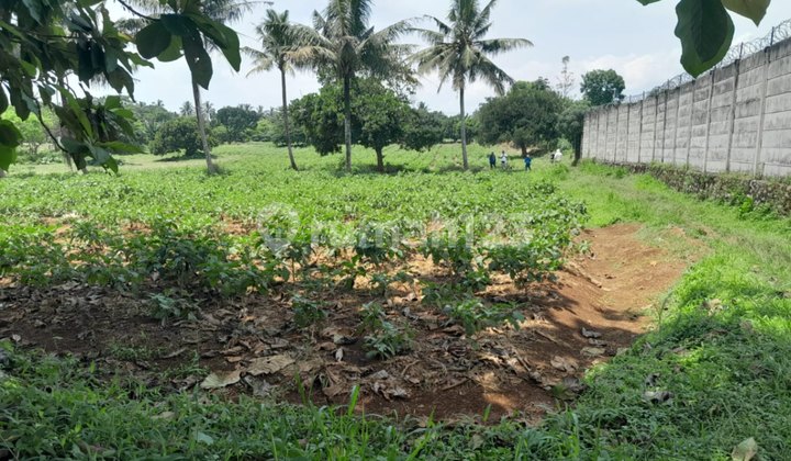 Strategic Land on Jl Ciseeng Raya, Bogor