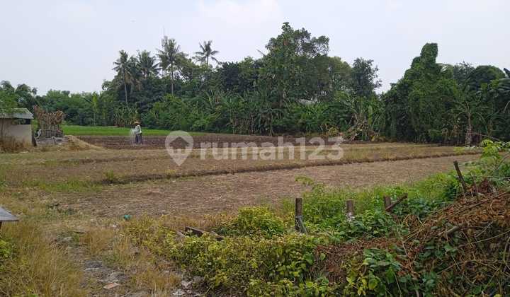 Tanah Dijual Cepat Berlokasi Di Batu Ceper Tangerang Tanah Dijual Cepat Berlokasi Di Batu Ceper Tangerang