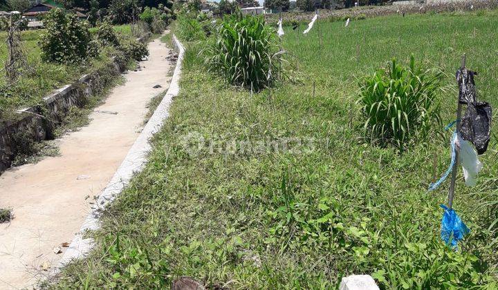 Di Jual Tanah Kavling SHM Di Tourist And Famous Lombok Utara 4