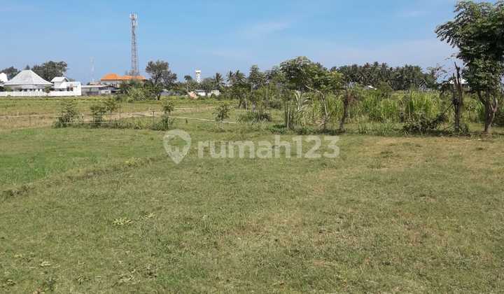 Di Jual Tanah Kavling SHM Di Tourist And Famous Lombok Utara 9