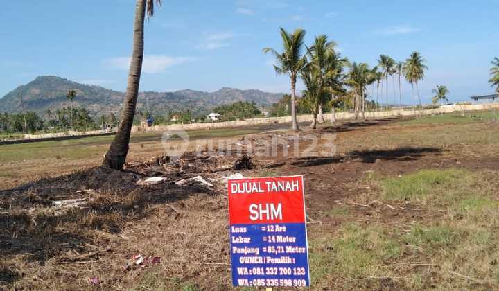 Di Jual Tanah SHM Di. Tourist And Famous Area View Trawangan 9
