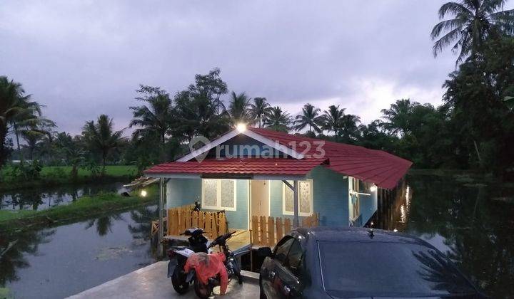 Tanah Dan Usaha Dijual U Investasi Ayam Petelor Di Tasikmalaya 2