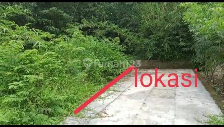 Jual Cepat Tanah Kavling Luas Tanah 141 Shm Pekarangan 2