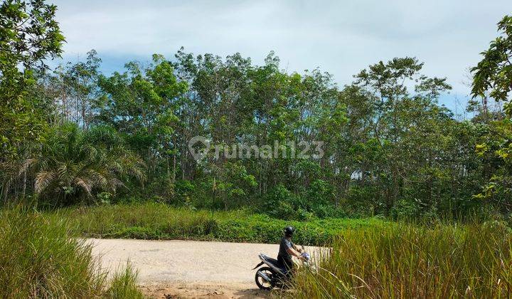 Dijual Lahan Perkebunan Karet Strategis Dipinggir Jalan Ibukota  1