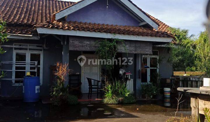 Dijual Rumah Dan Kos kosan Di Jalan Raya Mlonggo jepara, Jepara 1