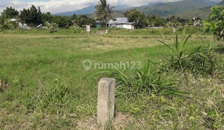 Di Jual Tanah Sangat Strategis Kavling SHM Di Pemenang Timur L 2