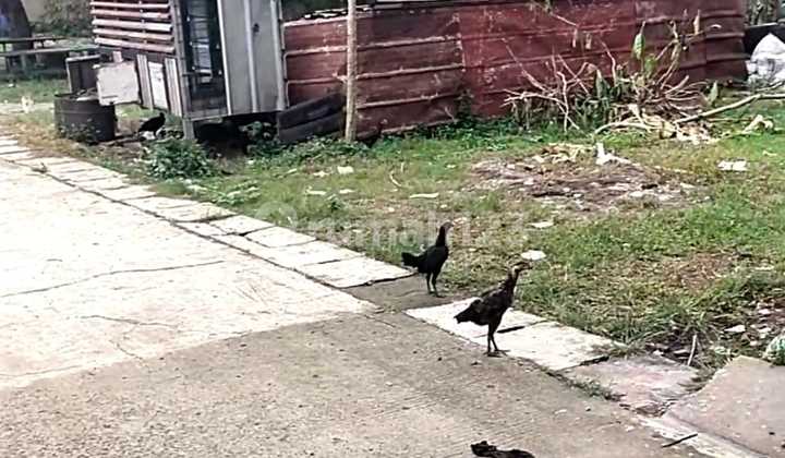 Miliki Kavling Bintaro House Hunian Ekslusif Sektor 9