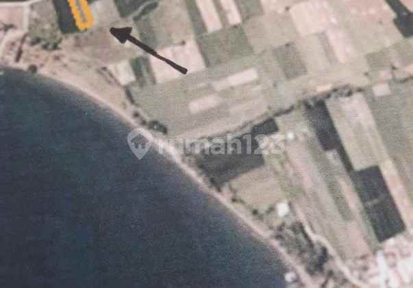 BIG SALE Land with SHM Certificate For Sale / For Rent BIG SALE Land with SHM Certificate For Sale / For Rent