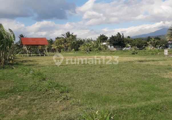 For Sale, Very Strategic Land Plot with SHM Certificate in East Pemenang, North Lombok, NTB. For Sale, Very Strategic Land Plot with SHM Certificate in East Pemenang, North Lombok, NTB.