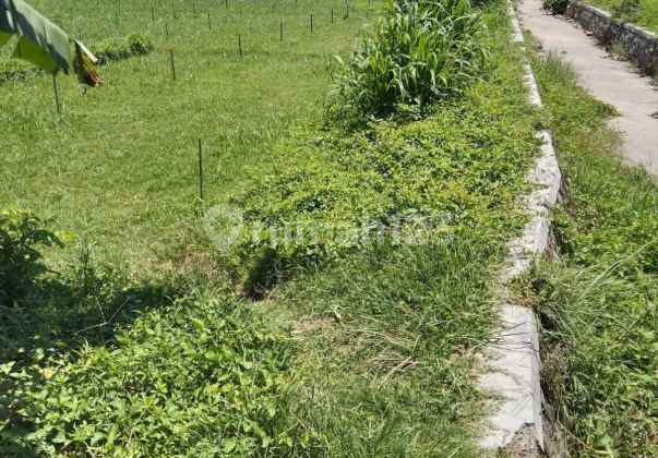 For Sale, Very Strategic Land Plot with SHM Certificate in East Pemenang, North Lombok, NTB. For Sale, Very Strategic Land Plot with SHM Certificate in East Pemenang, North Lombok, NTB.