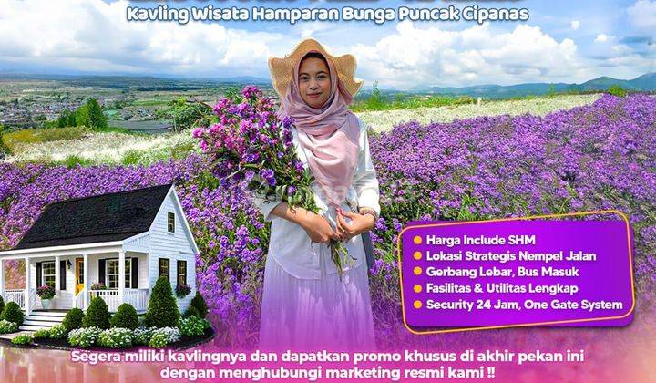 Miliki Segera Kavling Wisata Hamparan Bunga di Puncak Cipanas  1