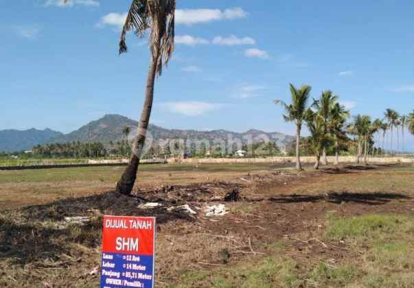 BIG SALE Land with SHM Certificate For Sale / For Rent BIG SALE Land with SHM Certificate For Sale / For Rent