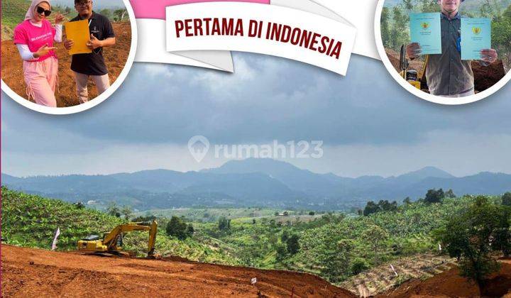 Miliki Segera Kavling Wisata Hamparan Bunga di Puncak Cipanas  2