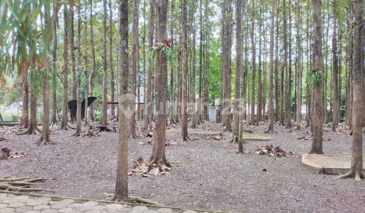 Land for Tourism and Restaurant Objects, Krakal, Kenumen, Central Java