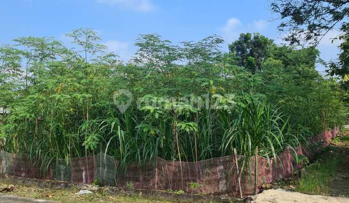 Dijual Murah Tanah Pekarangan 956M, Siraman, Wonosari, Jogja.