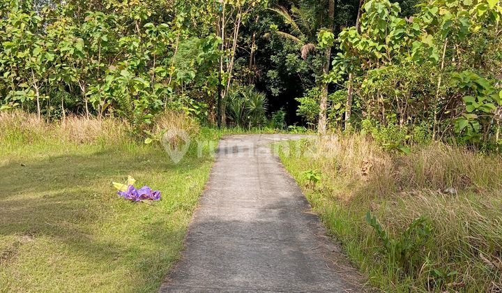 Jual Tanah SHM 2432M2, Cocok untuk Perumahan, Bangunjiwo, Jogja