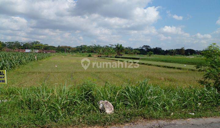 Tanah Murah, ,pekarangan,Cocok Untuk Resto, Perumahan, Berbah , Jogja 1