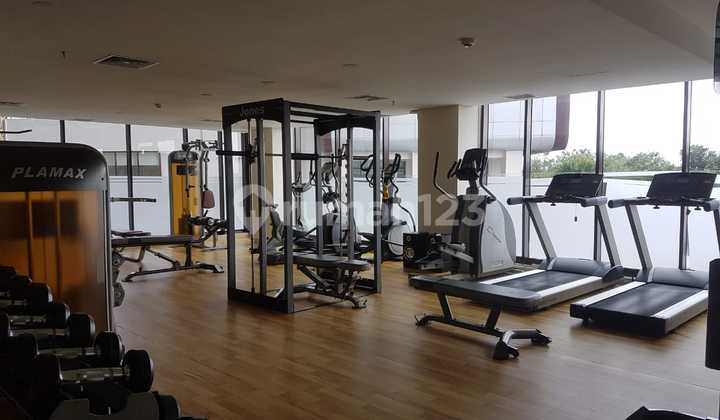 Disewakan apartemen baru di Patraland Amarta 10 menit ke UGM 11