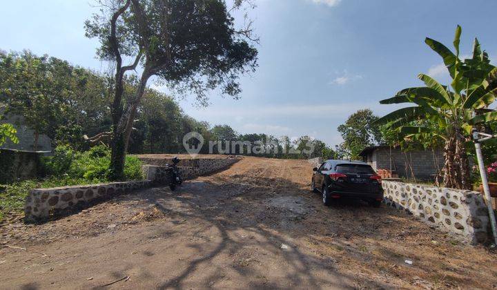 Tanah Murah Seluas 4607m2 Cocok Untuk Perumahan, Sentolo, Jogja 1