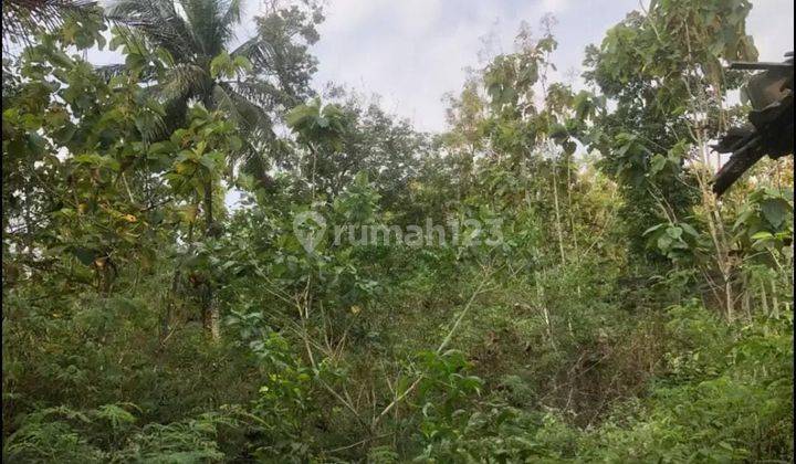 Tanah Pekarangan  Dekat Rsia Dan Gor Siyono, Playen, G. Kidul, Jogja 2