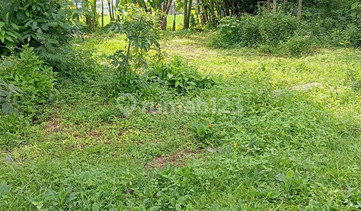 Tanah Pekarangan Dekat Pabrik Susu Sarihusada, Kemudo, Klaten.