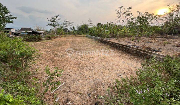 Tanah Pekarangan Murah Dekat Pasar Pleret, Wirokerten, Banguntapan, Diy 2