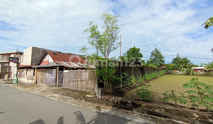 Tanah Bagus Pekarangan , Dekat Hyatt Hotel, Ngaglik, Jogja. Tanah Bagus Pekarangan , Dekat Hyatt Hotel, Ngaglik, Jogja.