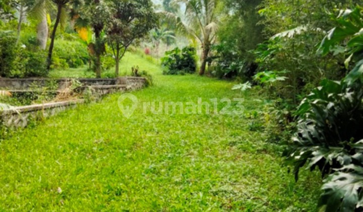 Land 4489 Square Meters Located in the Kopeng Tourism Area, Getasan. 1