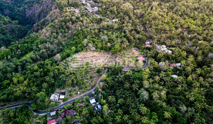 Tanah 1 Hektar Cocok untuk Investasi View Gunung dan Laut Dd Tanah 1 Hektar Cocok untuk Investasi View Gunung dan Laut Dd