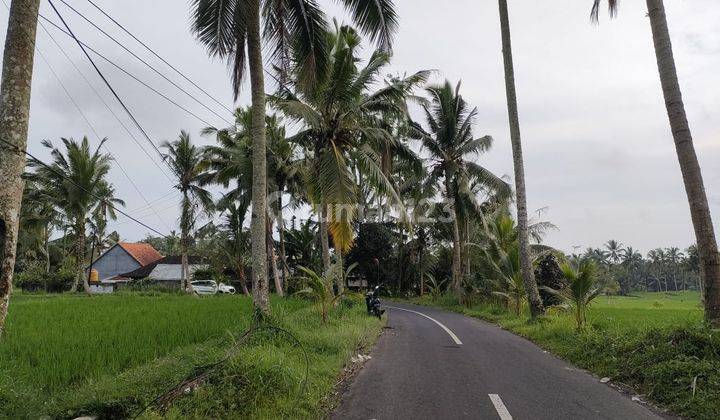 Dijual Tanah 1250 M² Shm View Gunung Agung Di Dekat Ubud Dd At 1