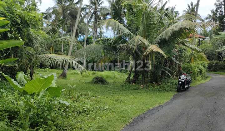 For Rent: 9.6 Are Hook Land in Tabanan For Rent: 9.6 Are Hook Land in Tabanan