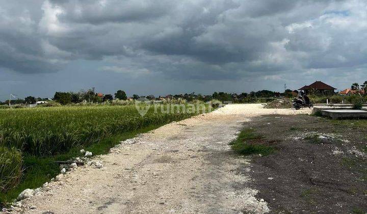 Cheap land for sale in Babakan Canggu District  1