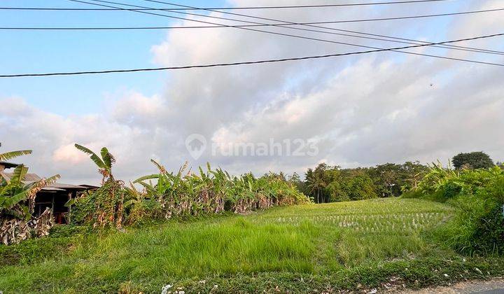 Di Jual Tanah View  Sawah dan Sungai di Jl Kaba Kaba Tabanan 2