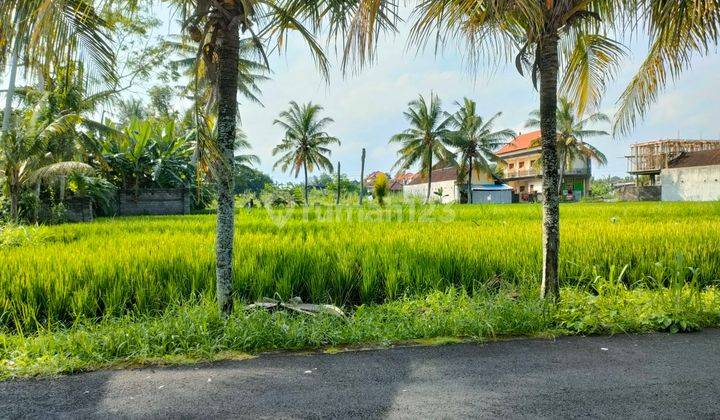 Di Jual Rumah Luas View Sawah , Strategis, Kota Gianyar  2