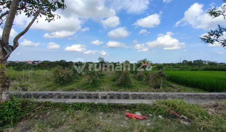 Land 8.8 Ares in Rice Field Zone, Canggu At