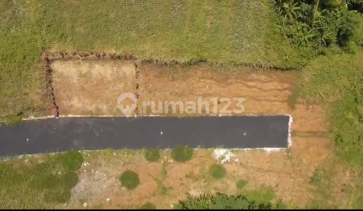 For Sale 1065 M² Land with SHM in Wana Sari, Tabanan