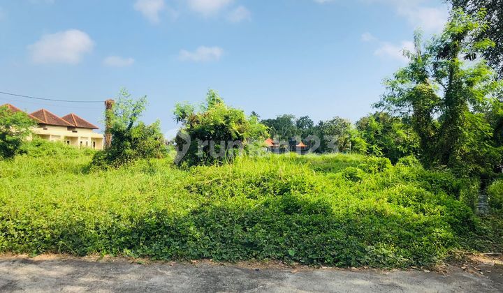 For Sale 17 Plot Units in Bongan Tabanan DD