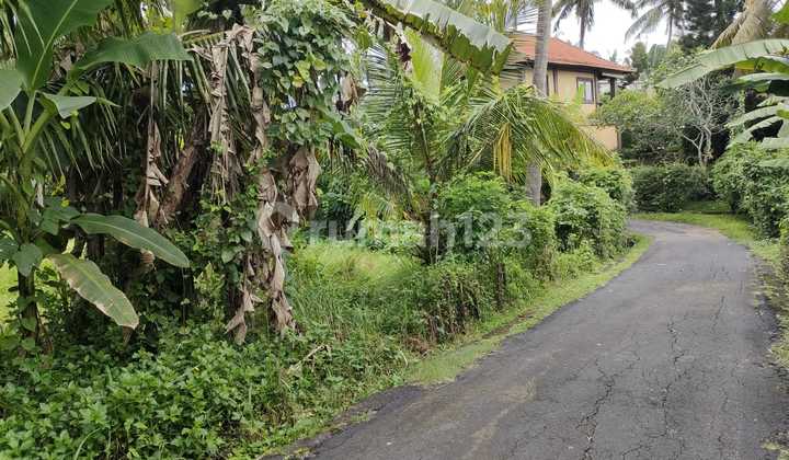 For Rent: 9.6 Are Hook Land in Tabanan For Rent: 9.6 Are Hook Land in Tabanan