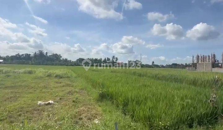 For Sale 26 Are Land Near Kedungu Beach Tanah Lot CN 1