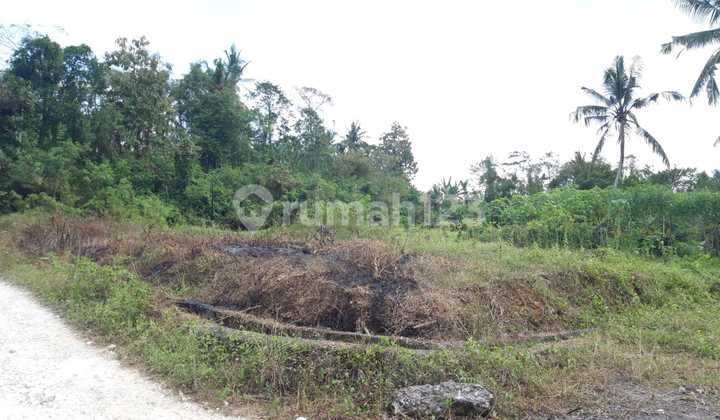Dijual Tanah Kavling Siap Bangun Dekat Pusat Kota Tabanan Dd