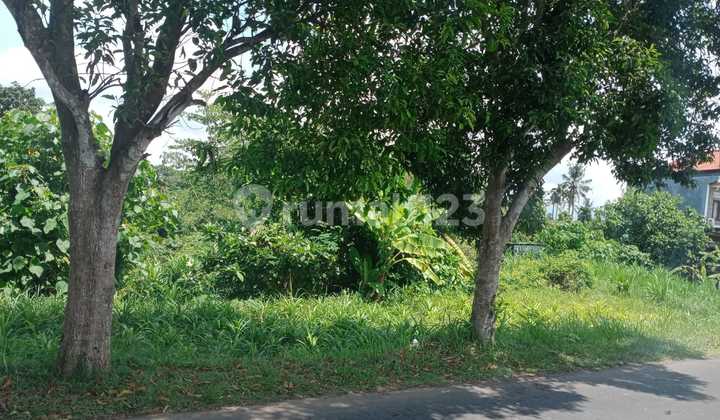 Land 995.0 M² Certificate in Karangasem Mnk Land 995.0 M² Certificate in Karangasem Mnk