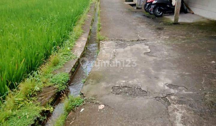 Dijual Tanah 1749 M² Di Tegallalang Gianyar Db 2